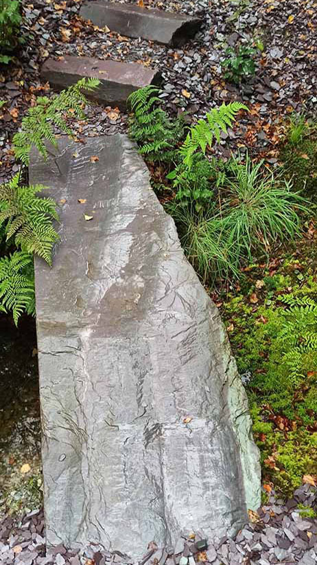 Woodlander Wales Pond Creation