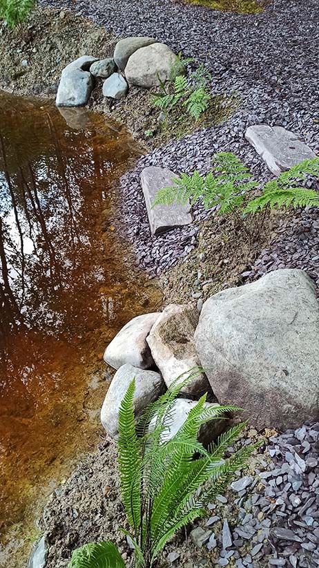 Woodlander Wales Pond Creation