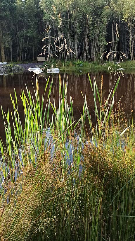 Woodlander Wales Pond Creation