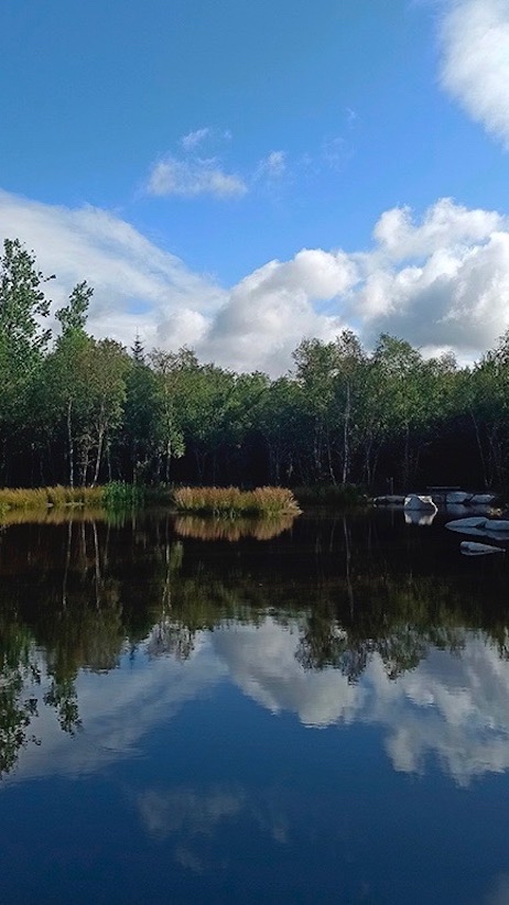 Woodlander Wales Pond Creation