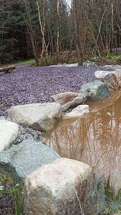 Woodlander Wales Pond Boulders