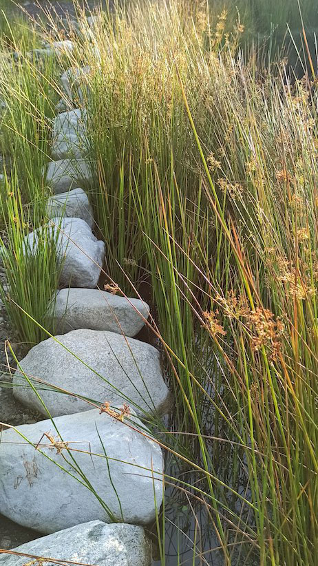 Woodlander Wales Pond Boulders