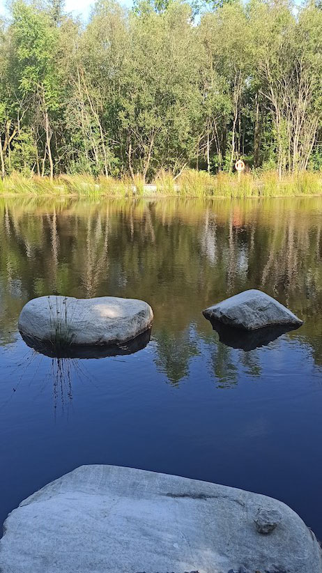 Woodlander Wales Pond Boulders