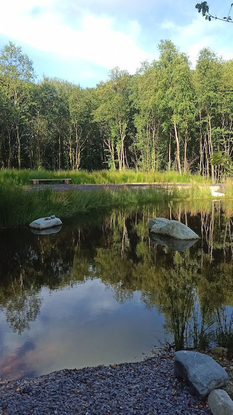 Woodlander Wales Pond Boulders