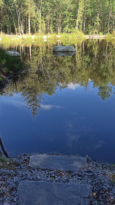 Woodlander Wales Pond Boulders