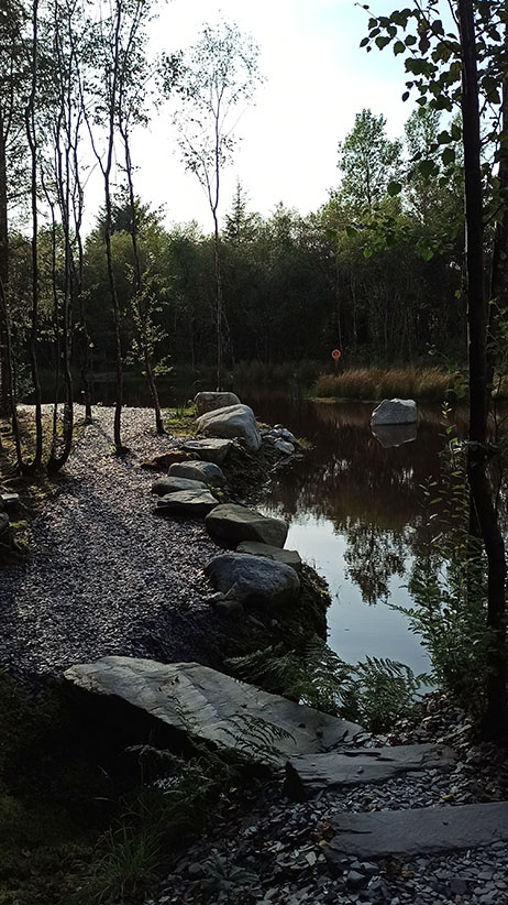 Woodlander Wales Pond Boulders