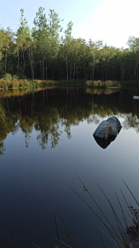 Woodlander Wales Pond Boulders