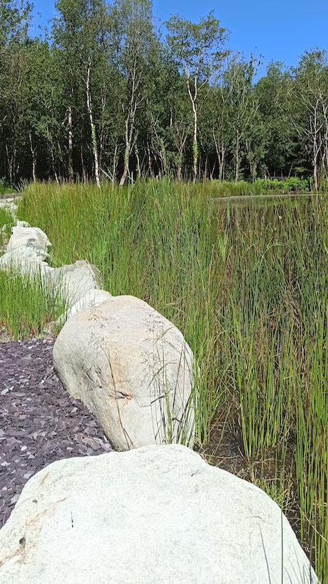 Woodlander Wales Pond Boulders