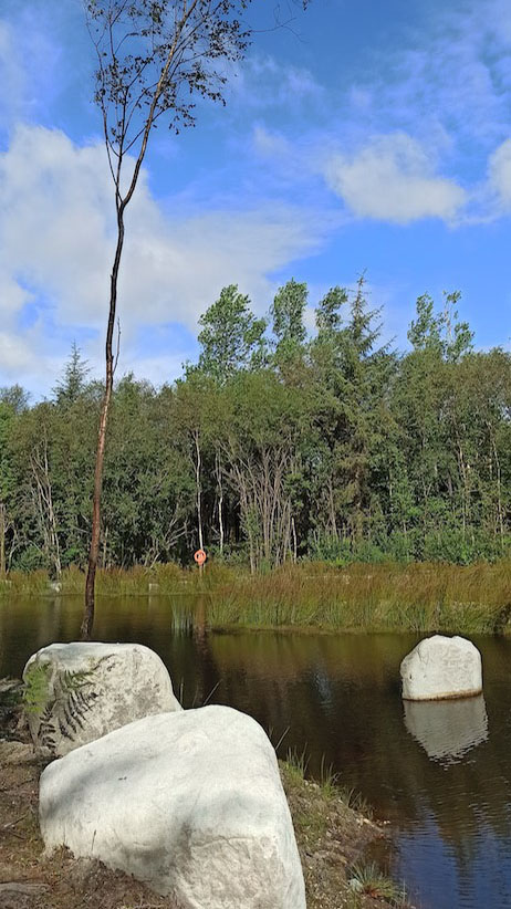 Woodlander Wales Pond Boulders