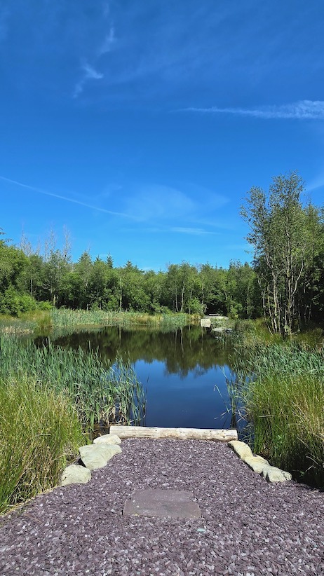 Woodlander Wales Pond Creation