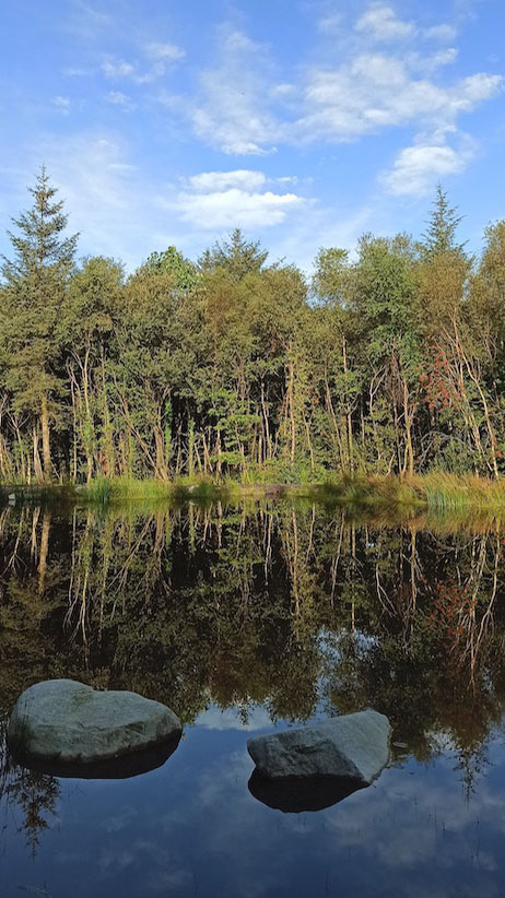 Woodlander Wales Pond Creation