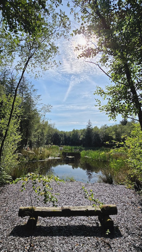 Woodlander Wales Pond Creation